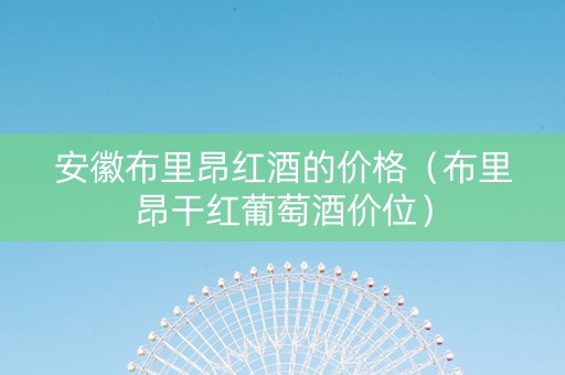 安徽布里昂红酒的价格（布里昂干红葡萄酒价位）