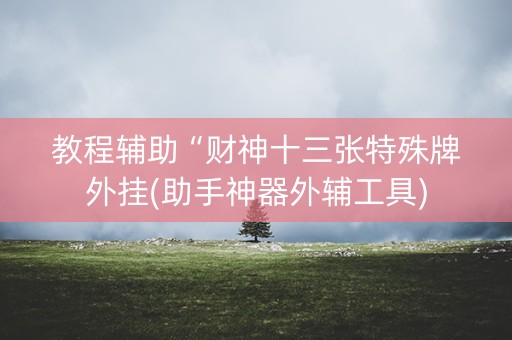 教程辅助“财神十三张特殊牌外挂(助手神器外辅工具)