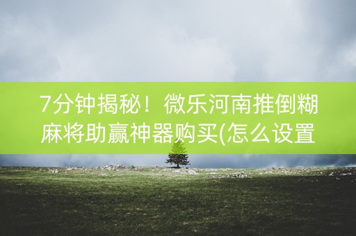7分钟揭秘！微乐河南推倒糊麻将助赢神器购买(怎么设置胜率)
