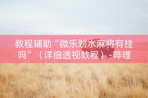 教程辅助“微乐划水麻将有挂吗”（详细透视教程）-哔哩哔哩