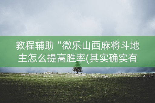 教程辅助“微乐山西麻将斗地主怎么提高胜率(其实确实有挂)