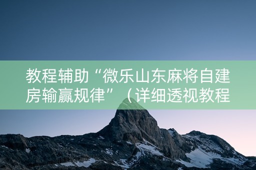 教程辅助“微乐山东麻将自建房输赢规律”（详细透视教程）-哔哩哔哩