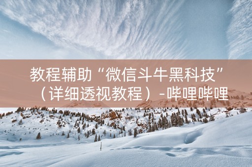 教程辅助“微信斗牛黑科技”（详细透视教程）-哔哩哔哩