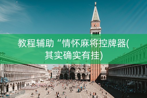 教程辅助“情怀麻将控牌器(其实确实有挂)
