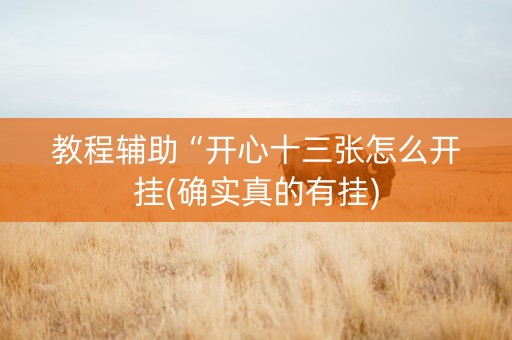 教程辅助“开心十三张怎么开挂(确实真的有挂)