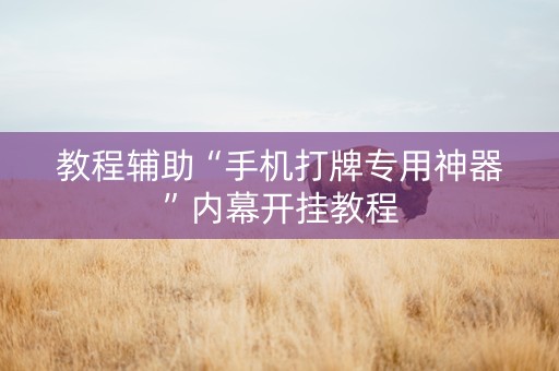 教程辅助“手机打牌专用神器”内幕开挂教程