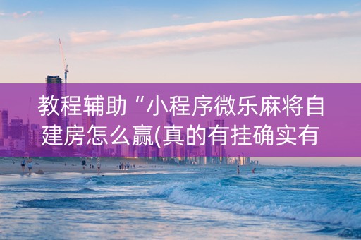 教程辅助“小程序微乐麻将自建房怎么赢(真的有挂确实有挂)