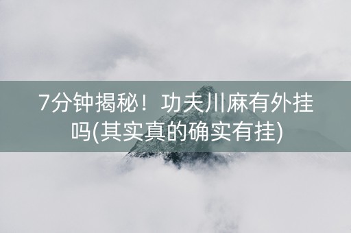7分钟揭秘！功夫川麻有外挂吗(其实真的确实有挂)