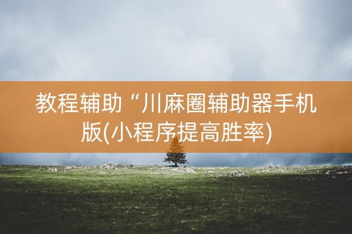 教程辅助“川麻圈辅助器手机版(小程序提高胜率)