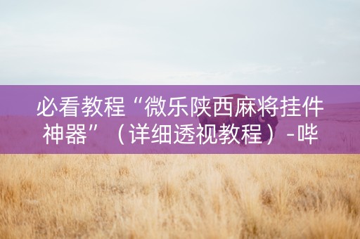 必看教程“微乐陕西麻将挂件神器”（详细透视教程）-哔哩哔哩