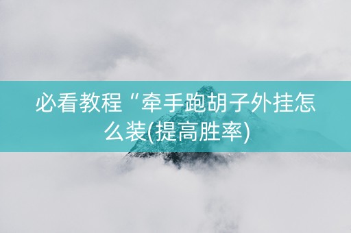 必看教程“牵手跑胡子外挂怎么装(提高胜率)