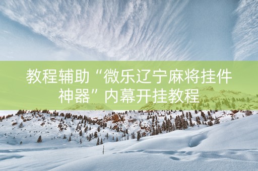 教程辅助“微乐辽宁麻将挂件神器”内幕开挂教程