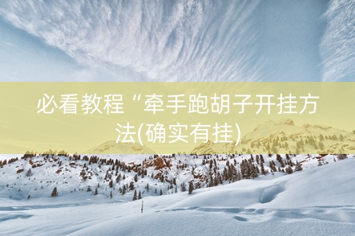 必看教程“牵手跑胡子开挂方法(确实有挂)