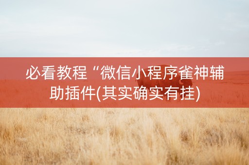 必看教程“微信小程序雀神辅助插件(其实确实有挂)