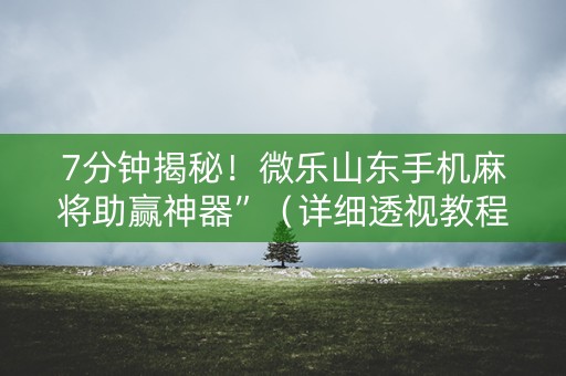 7分钟揭秘！微乐山东手机麻将助赢神器”（详细透视教程）-哔哩哔哩