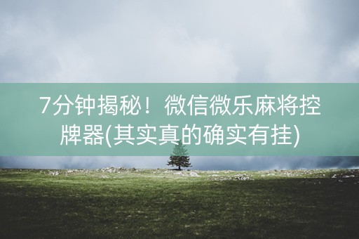 7分钟揭秘！微信微乐麻将控牌器(其实真的确实有挂)