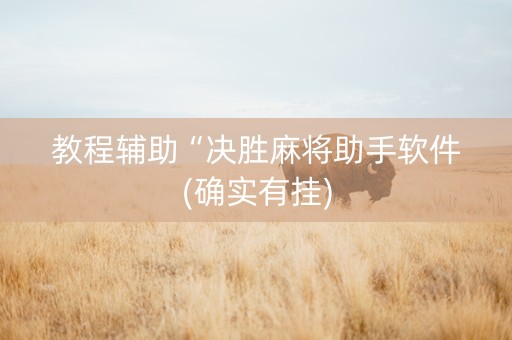 教程辅助“决胜麻将助手软件(确实有挂)