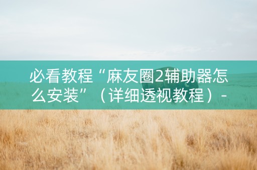 必看教程“麻友圈2辅助器怎么安装”（详细透视教程）-哔哩哔哩