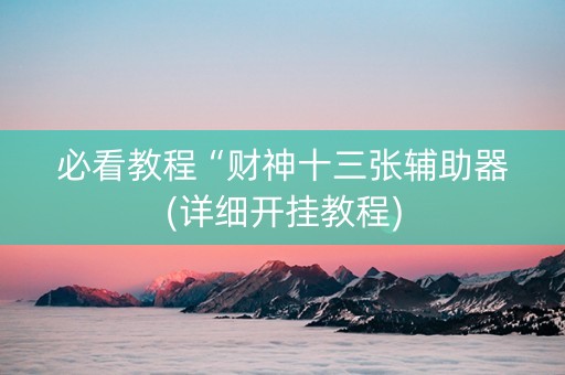 必看教程“财神十三张辅助器(详细开挂教程)