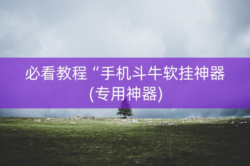 必看教程“手机斗牛软挂神器(专用神器)