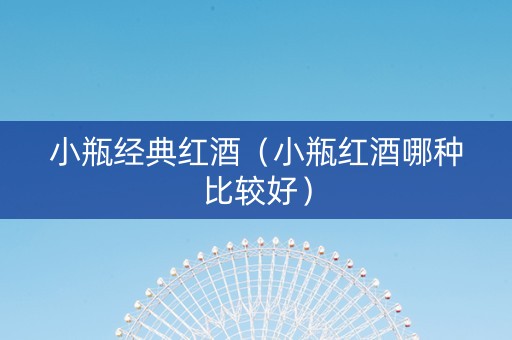 小瓶经典红酒（小瓶红酒哪种比较好）