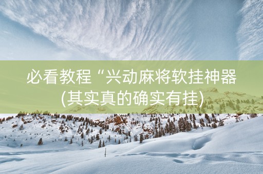 必看教程“兴动麻将软挂神器(其实真的确实有挂)