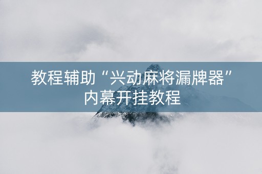 教程辅助“兴动麻将漏牌器”内幕开挂教程