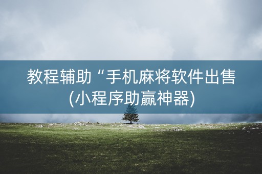 教程辅助“手机麻将软件出售(小程序助赢神器)