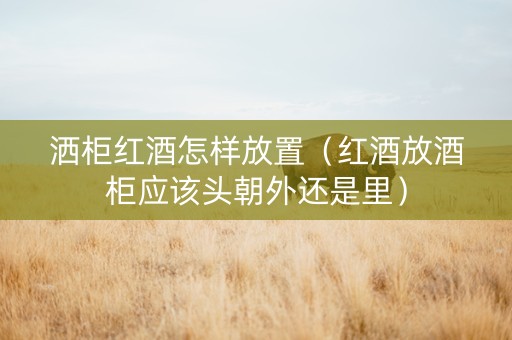 洒柜红酒怎样放置（红酒放酒柜应该头朝外还是里）