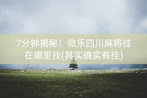 7分钟揭秘！微乐四川麻将挂在哪里找(其实确实有挂)