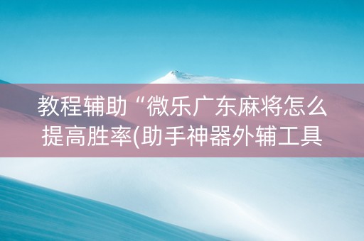 教程辅助“微乐广东麻将怎么提高胜率(助手神器外辅工具)