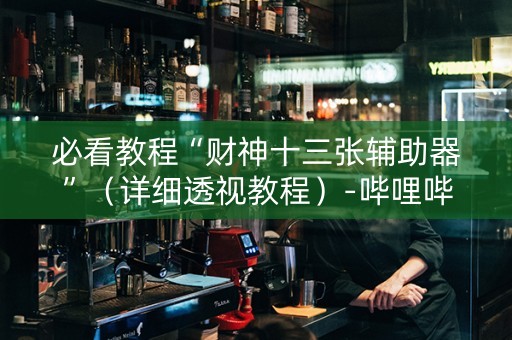 必看教程“财神十三张辅助器”（详细透视教程）-哔哩哔哩