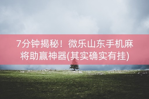 7分钟揭秘！微乐山东手机麻将助赢神器(其实确实有挂)
