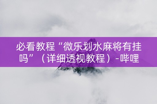 必看教程“微乐划水麻将有挂吗”（详细透视教程）-哔哩哔哩