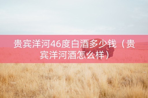 贵宾洋河46度白酒多少钱（贵宾洋河酒怎么样）