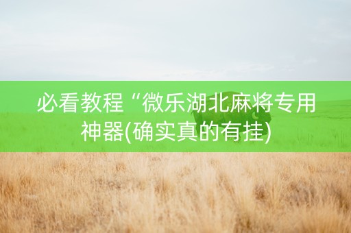必看教程“微乐湖北麻将专用神器(确实真的有挂)