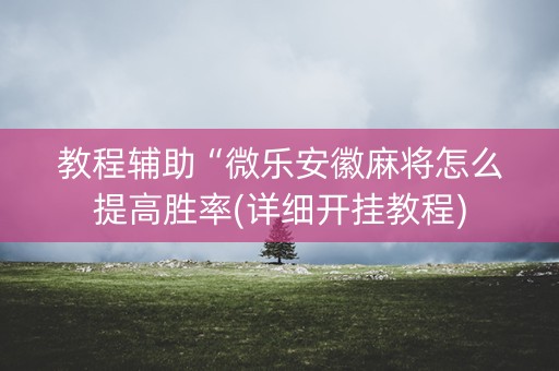 教程辅助“微乐安徽麻将怎么提高胜率(详细开挂教程)