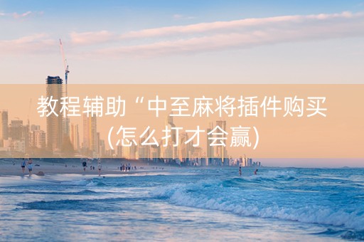 教程辅助“中至麻将插件购买(怎么打才会赢)