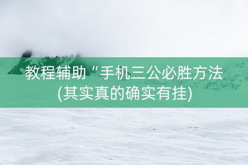 教程辅助“手机三公必胜方法(其实真的确实有挂)
