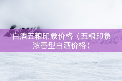白酒五粮印象价格（五粮印象浓香型白酒价格）