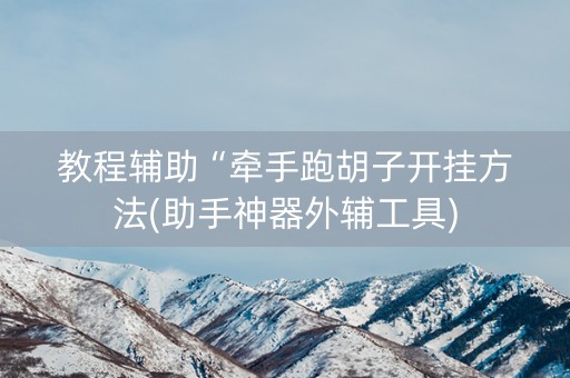教程辅助“牵手跑胡子开挂方法(助手神器外辅工具)