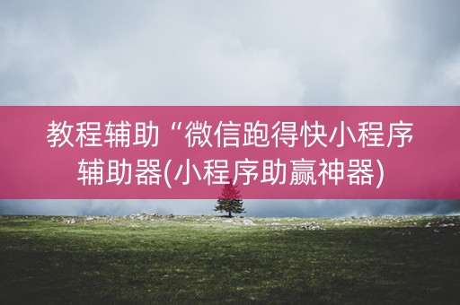教程辅助“微信跑得快小程序辅助器(小程序助赢神器)
