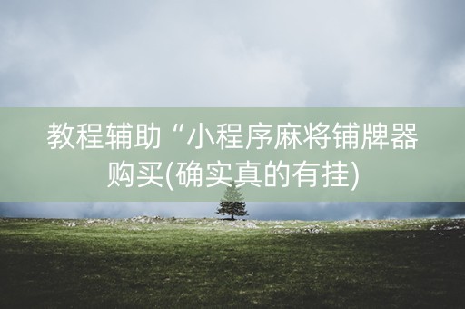 教程辅助“小程序麻将铺牌器购买(确实真的有挂)