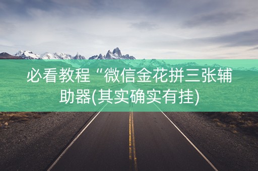 必看教程“微信金花拼三张辅助器(其实确实有挂)