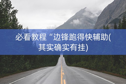 必看教程“边锋跑得快辅助(其实确实有挂)