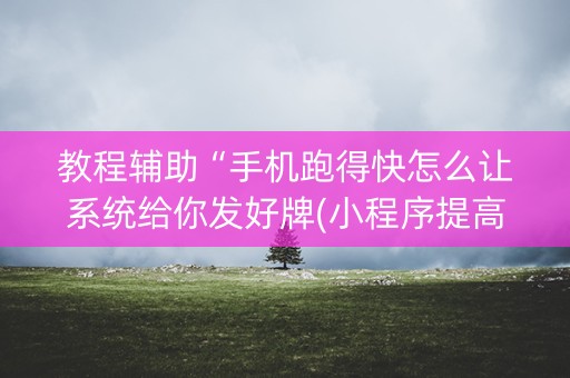 教程辅助“手机跑得快怎么让系统给你发好牌(小程序提高胜率)