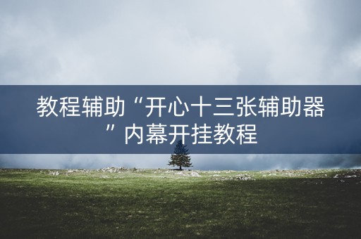 教程辅助“开心十三张辅助器”内幕开挂教程