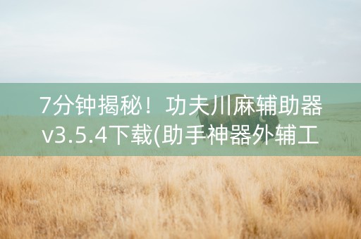 7分钟揭秘！功夫川麻辅助器v3.5.4下载(助手神器外辅工具)