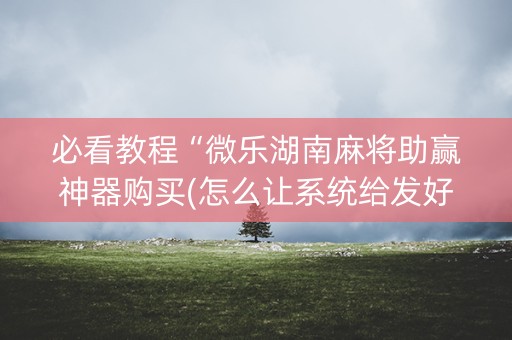 必看教程“微乐湖南麻将助赢神器购买(怎么让系统给发好牌)