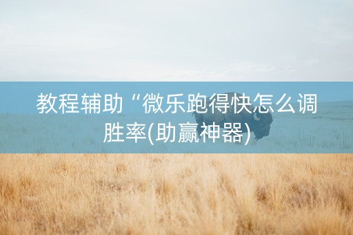 教程辅助“微乐跑得快怎么调胜率(助赢神器)
